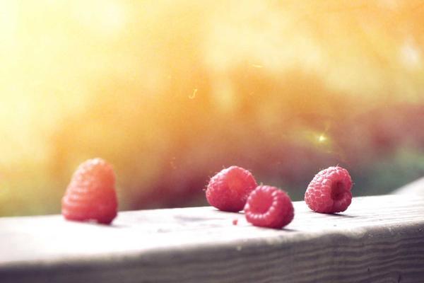 Android + MERN: Building a Full-Stack Mobile Solution